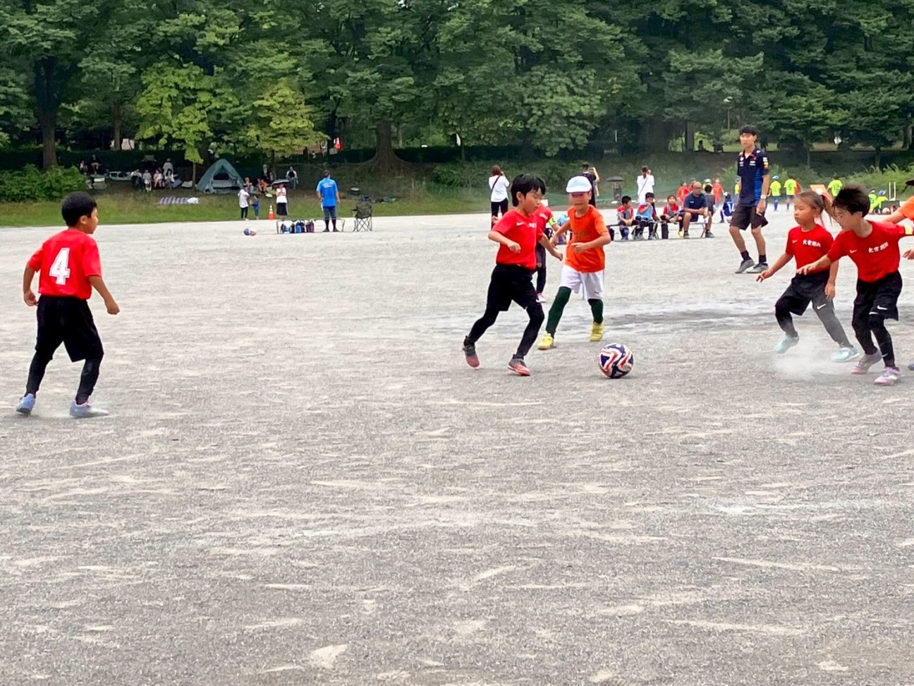 f:id:BESSHO:20250705215628j:image