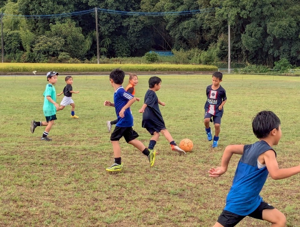 f:id:BESSHO:20250816233110j:image