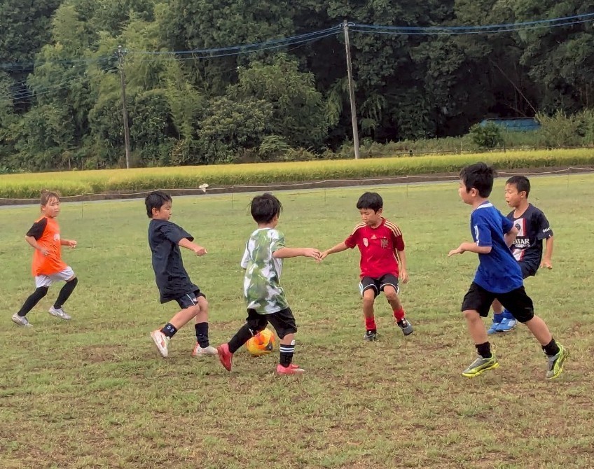 f:id:BESSHO:20250816233145j:image