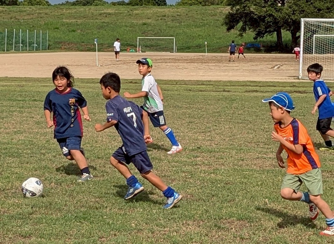 f:id:BESSHO:20250816233228j:image