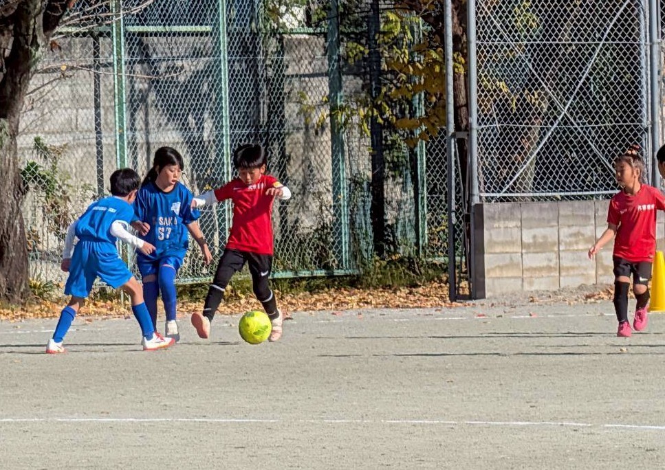 f:id:BESSHO:20251130205242j:image