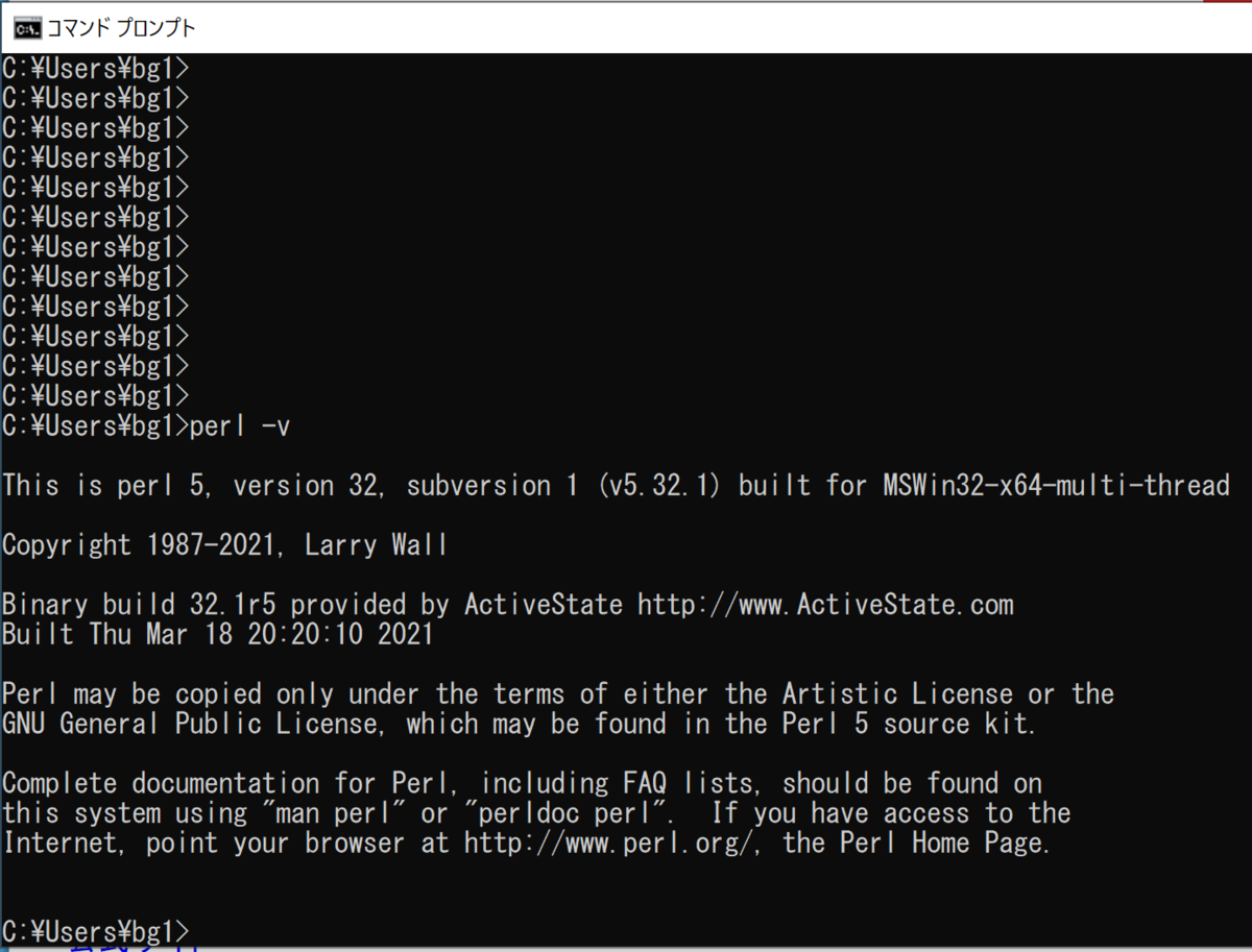 コマンドプロンプトからもperlは呼べるのでパスは通ってるみたい