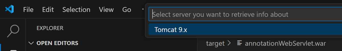 Tomcat 9.x