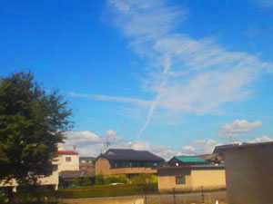 f:id:BHC:20100910142603j:image