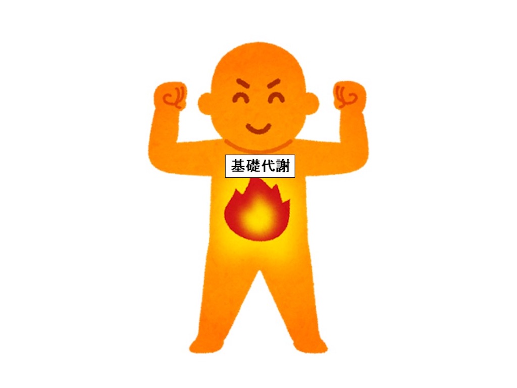 f:id:BIGDREAM:20190309013920j:image
