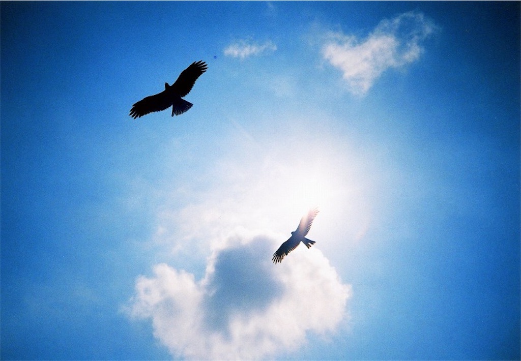 f:id:BIGDREAM:20200521002543j:image