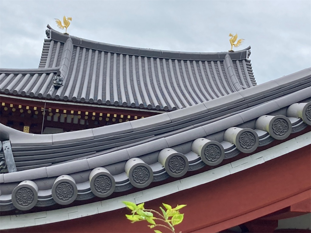 f:id:BIGFISHasset:20220731170654j:image