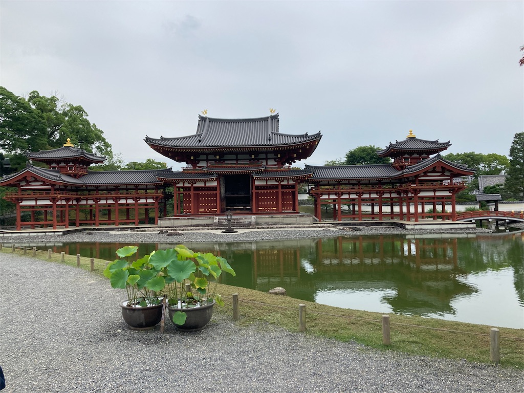 f:id:BIGFISHasset:20220731170657j:image