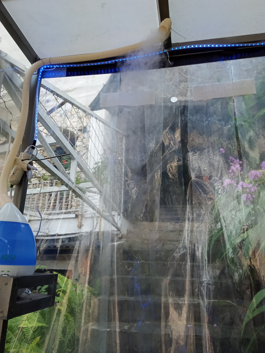 f:id:BINGO616:20200712215422j:plain