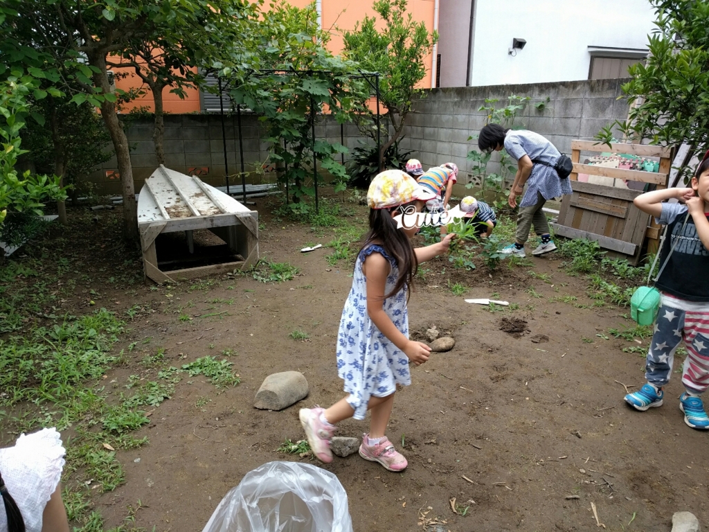 f:id:BINGO_K:20160624204850j:plain