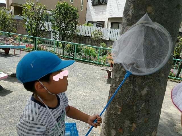 f:id:BINGO_K:20160808231956j:image