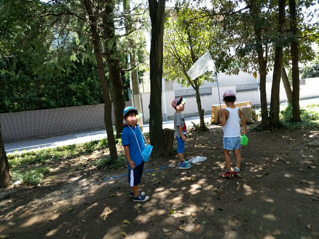 f:id:BINGO_K:20160831215959j:image