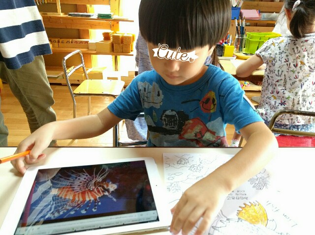 f:id:BINGO_K:20160928221345j:image