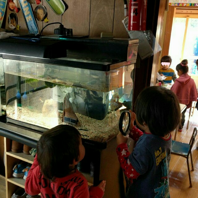 f:id:BINGO_K:20170113202614j:image