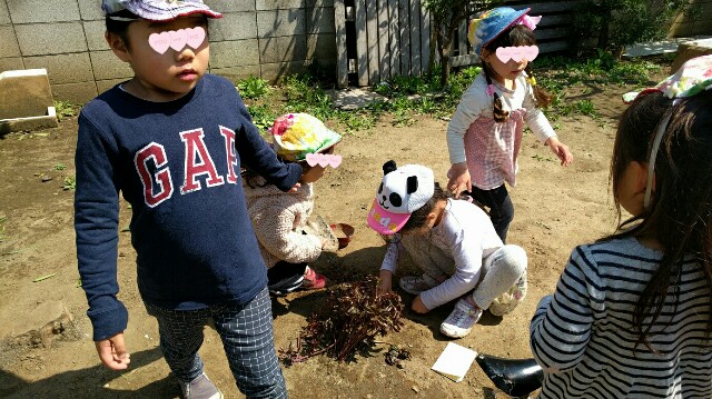 f:id:BINGO_K:20170413180033j:image f:id:BINGO_K:20170413180033j:image