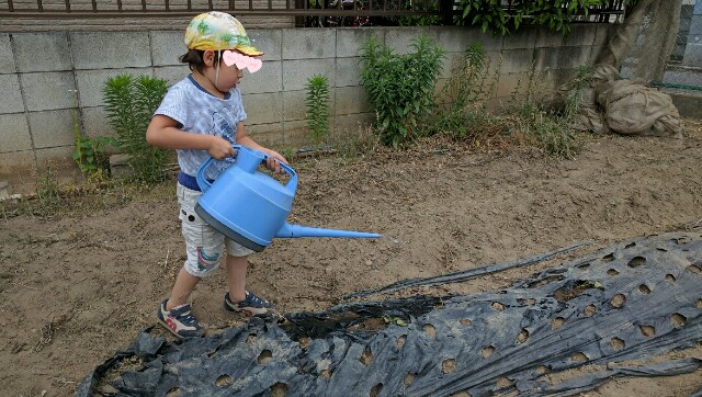 f:id:BINGO_K:20170612220715j:image