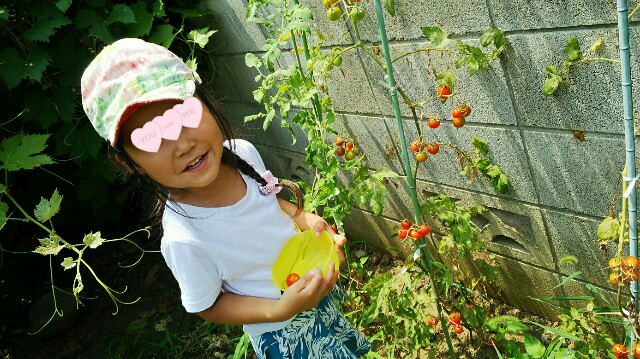 f:id:BINGO_K:20170725224017j:image