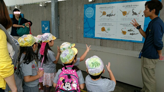 f:id:BINGO_K:20170928202238j:image