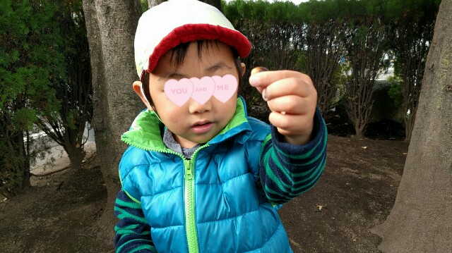 f:id:BINGO_K:20171128233539j:image