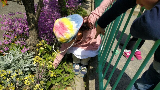 f:id:BINGO_K:20180411001321j:image f:id:BINGO_K:20180411001321j:image