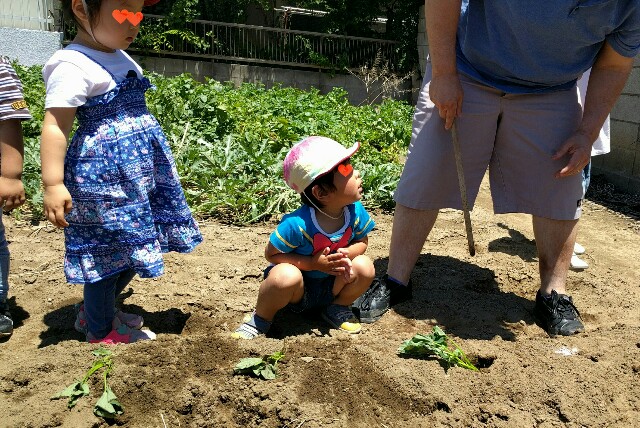 f:id:BINGO_K:20190618102034j:image