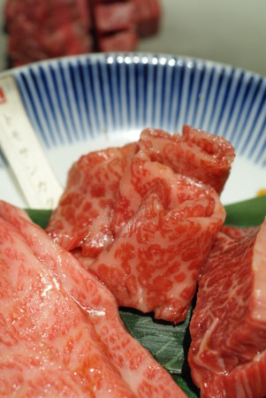 f:id:BMS12:20110531092858j:image