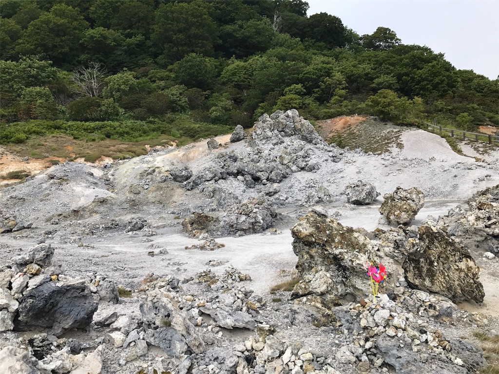 f:id:BMW-KEI:20190203100507j:image f:id:BMW-KEI:20190203100507j:image