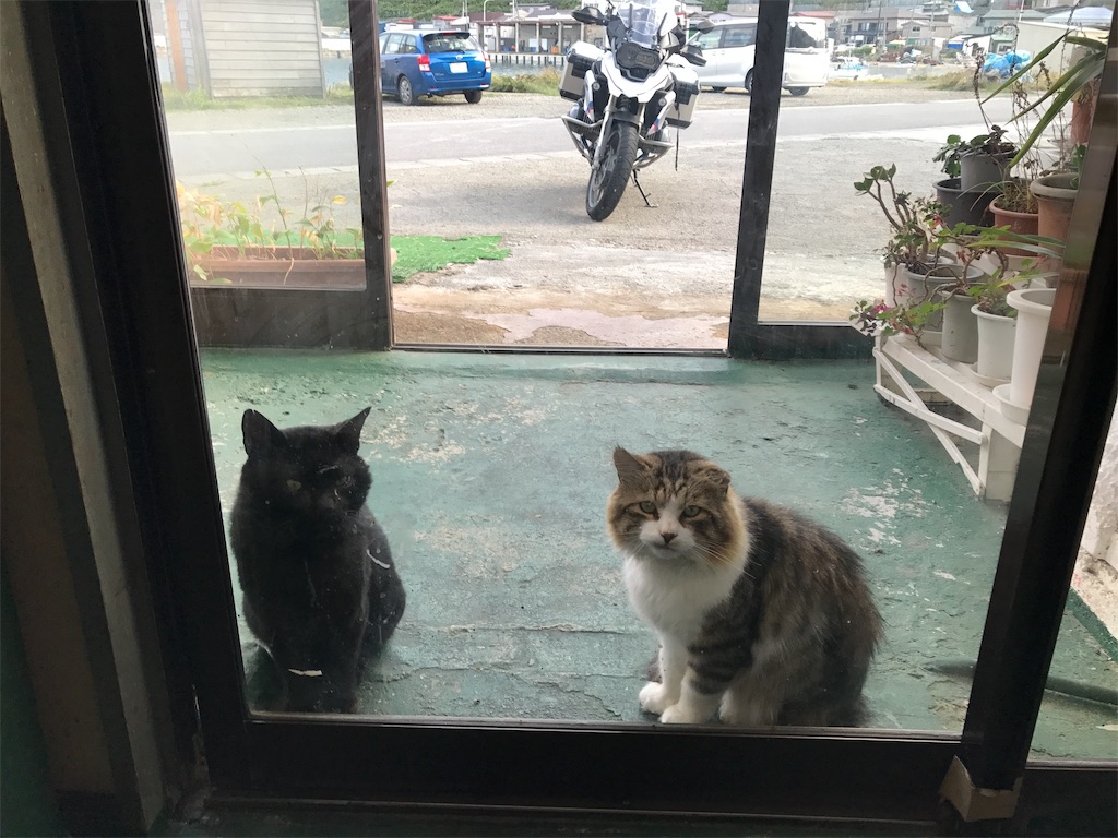 f:id:BMW-KEI:20190207222822j:image