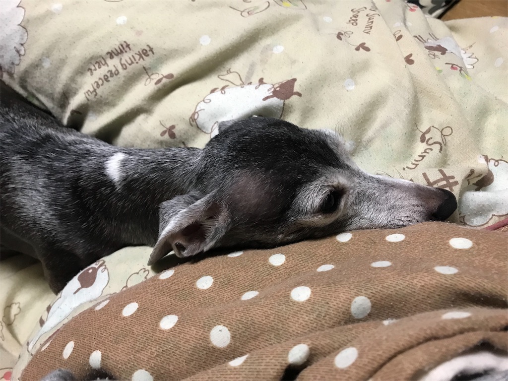 f:id:BMW-KEI:20190330183225j:image