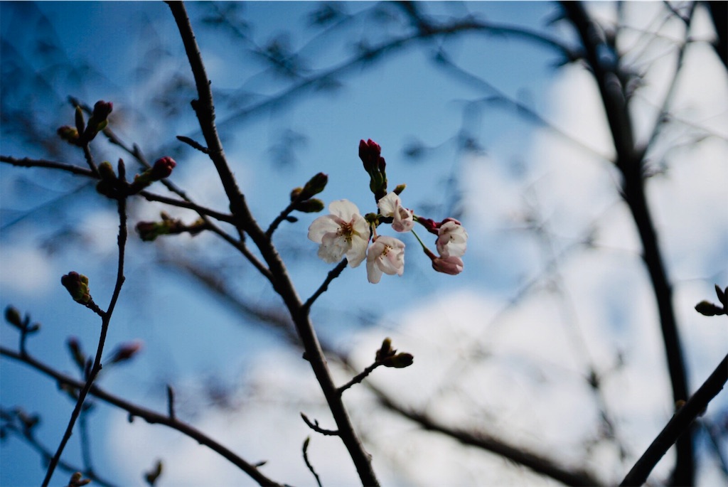 f:id:BMW-KEI:20190401063506j:image