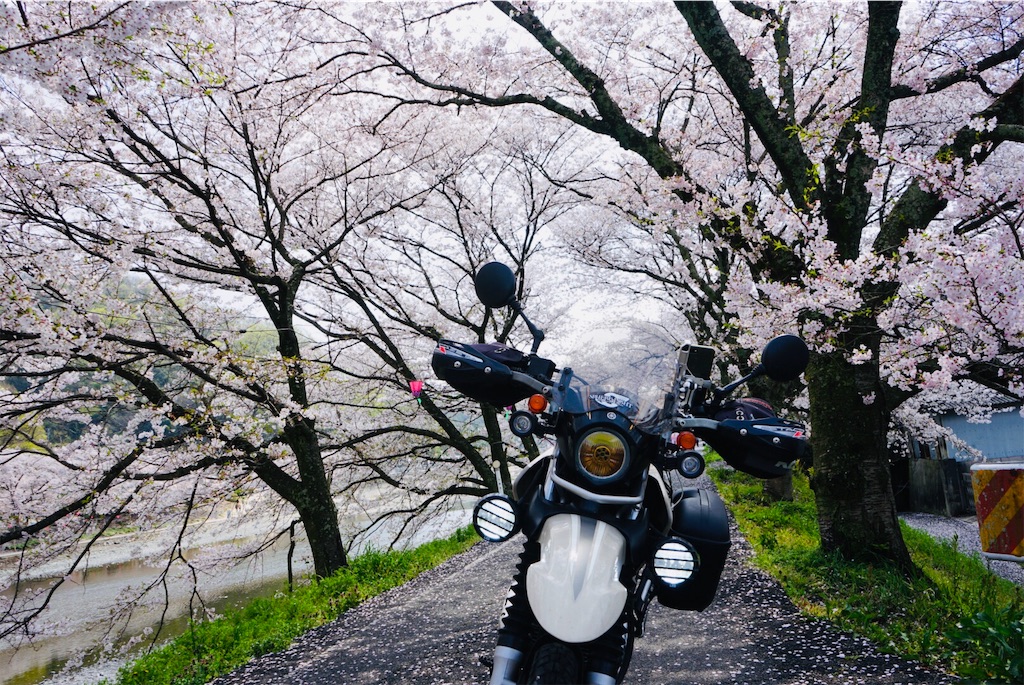 f:id:BMW-KEI:20190408201850j:image