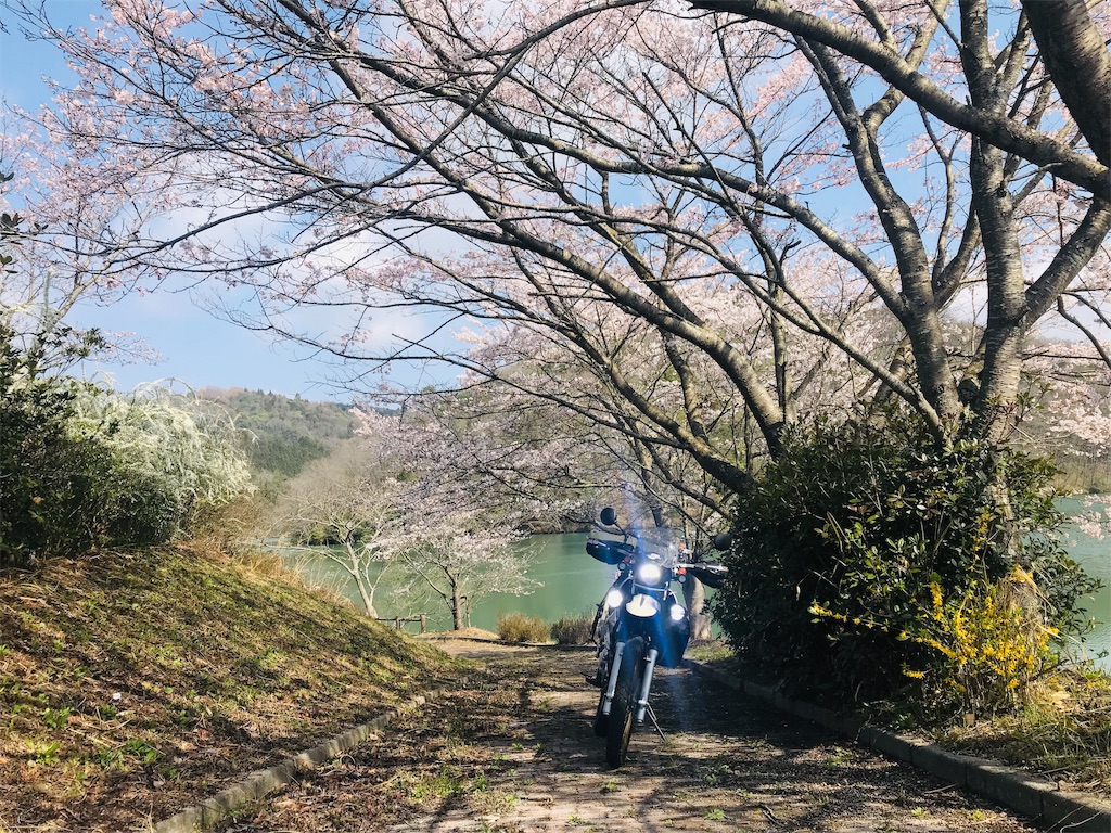 f:id:BMW-KEI:20190408201910j:image