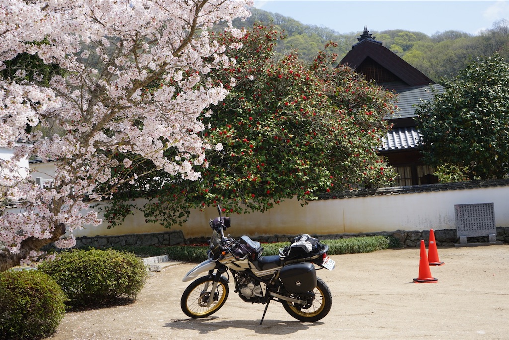 f:id:BMW-KEI:20190408201915j:image