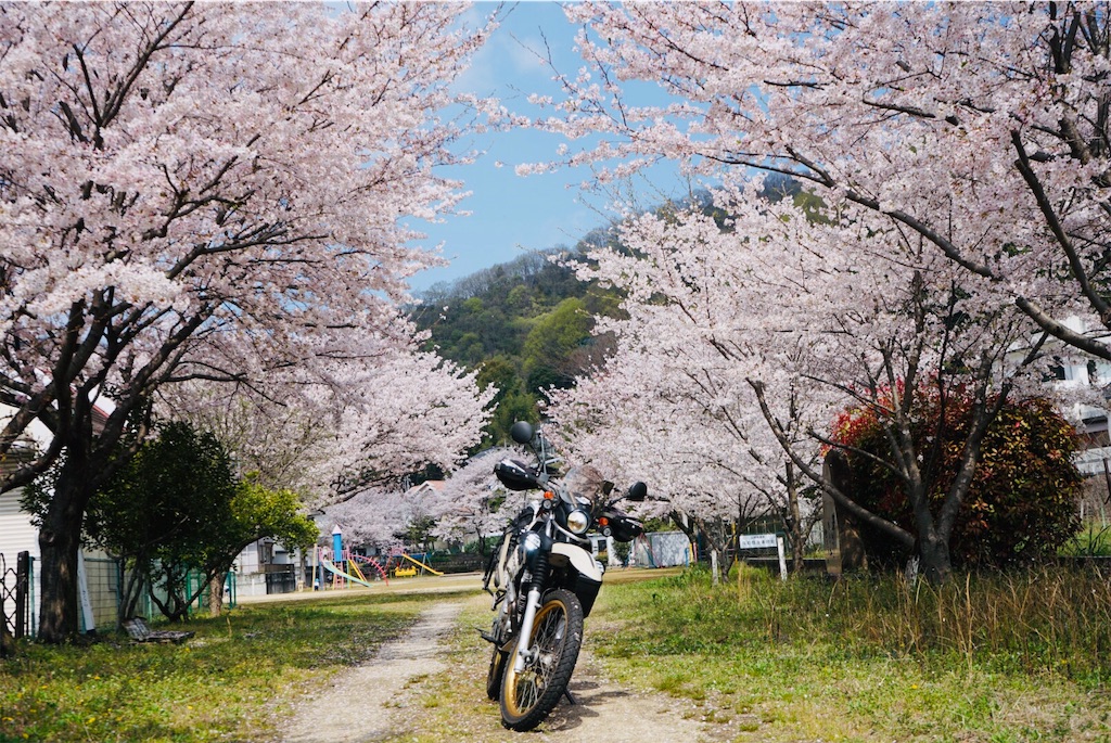 f:id:BMW-KEI:20190408201923j:image