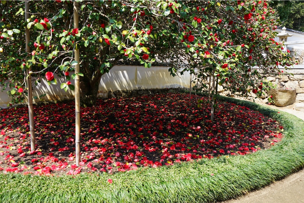 f:id:BMW-KEI:20190408201935j:image