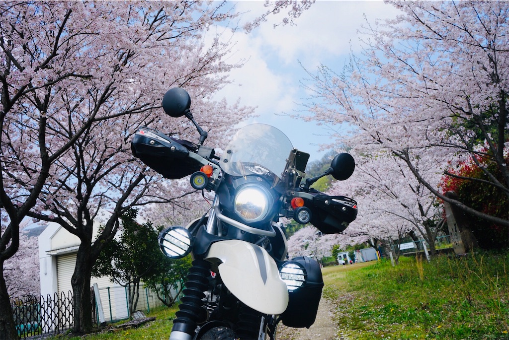 f:id:BMW-KEI:20190408201940j:image