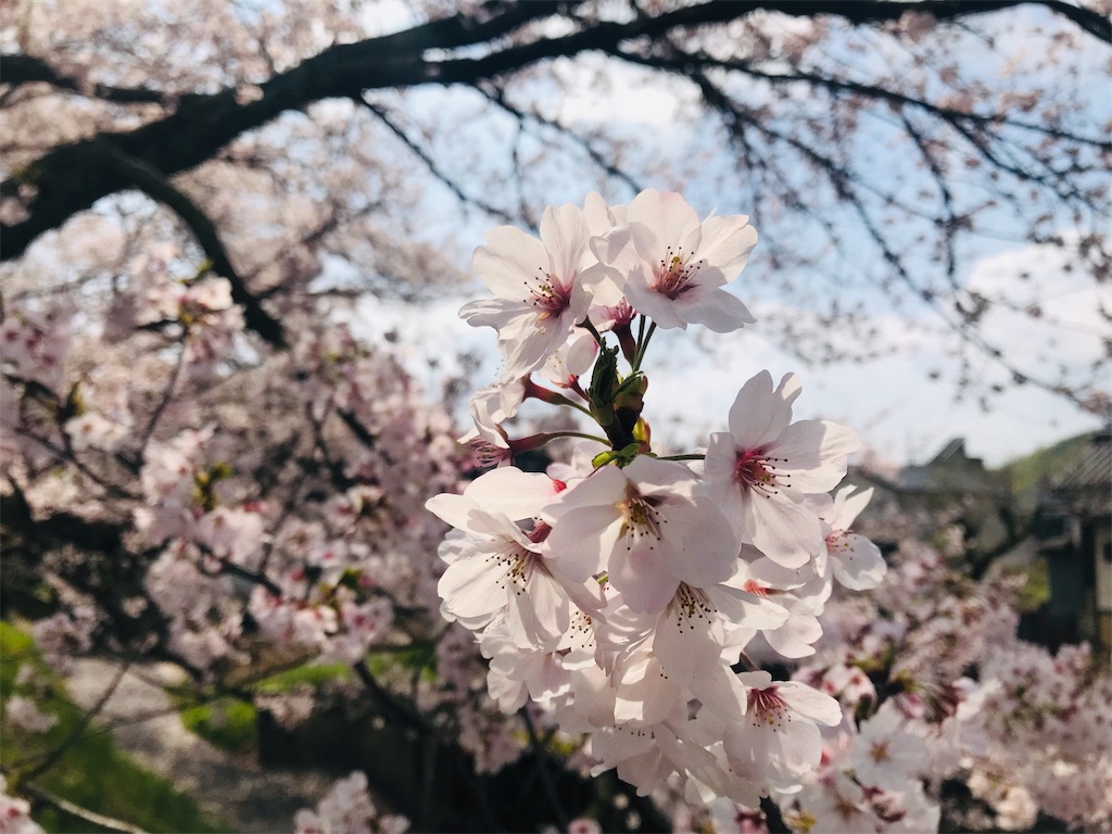 f:id:BMW-KEI:20190408202001j:image