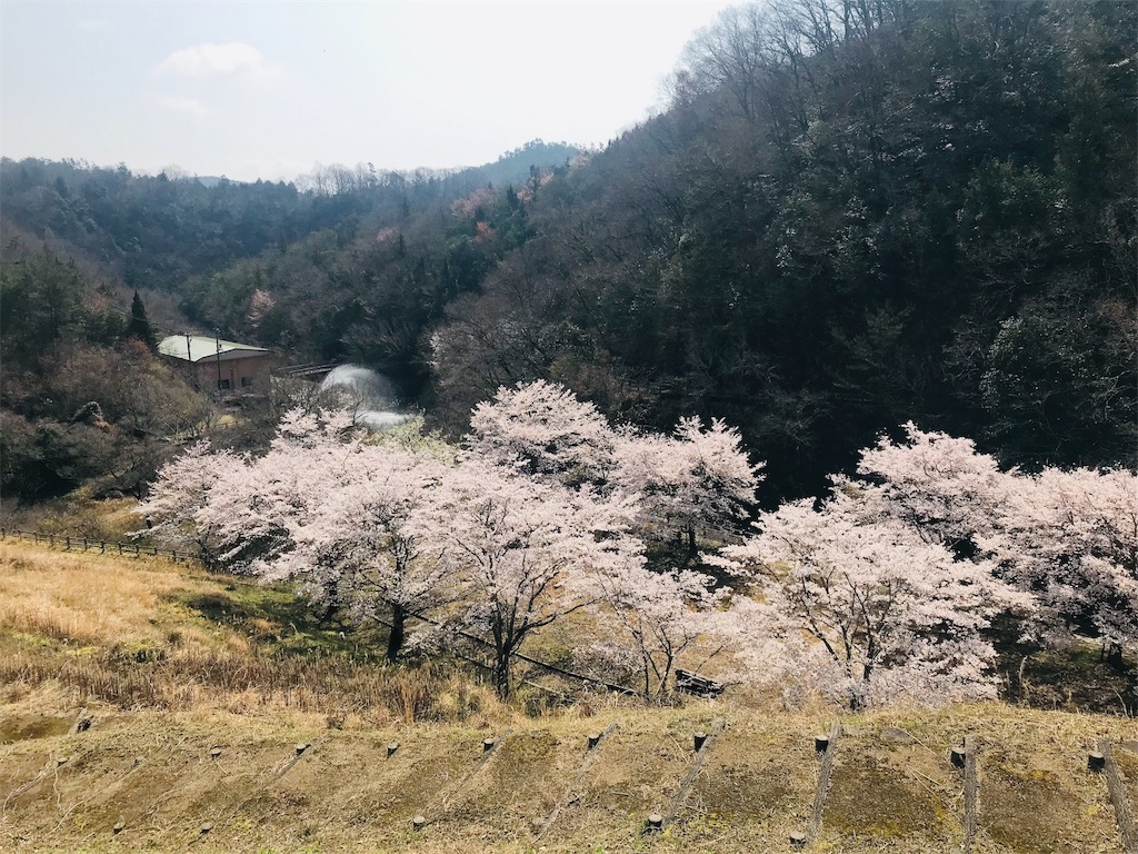 f:id:BMW-KEI:20190408202016j:image