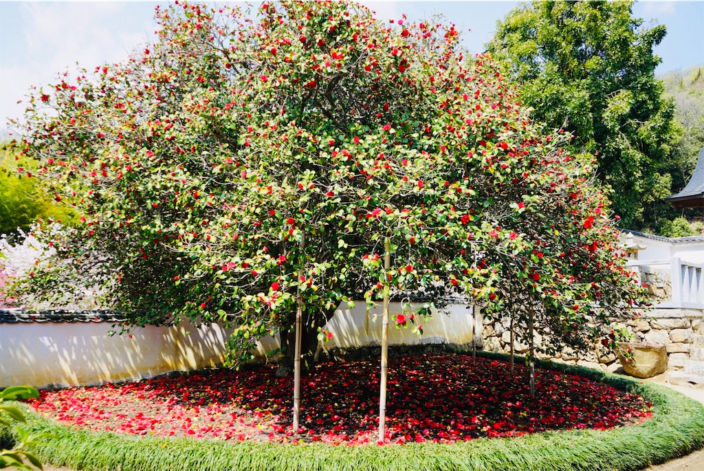 f:id:BMW-KEI:20190408202023j:image