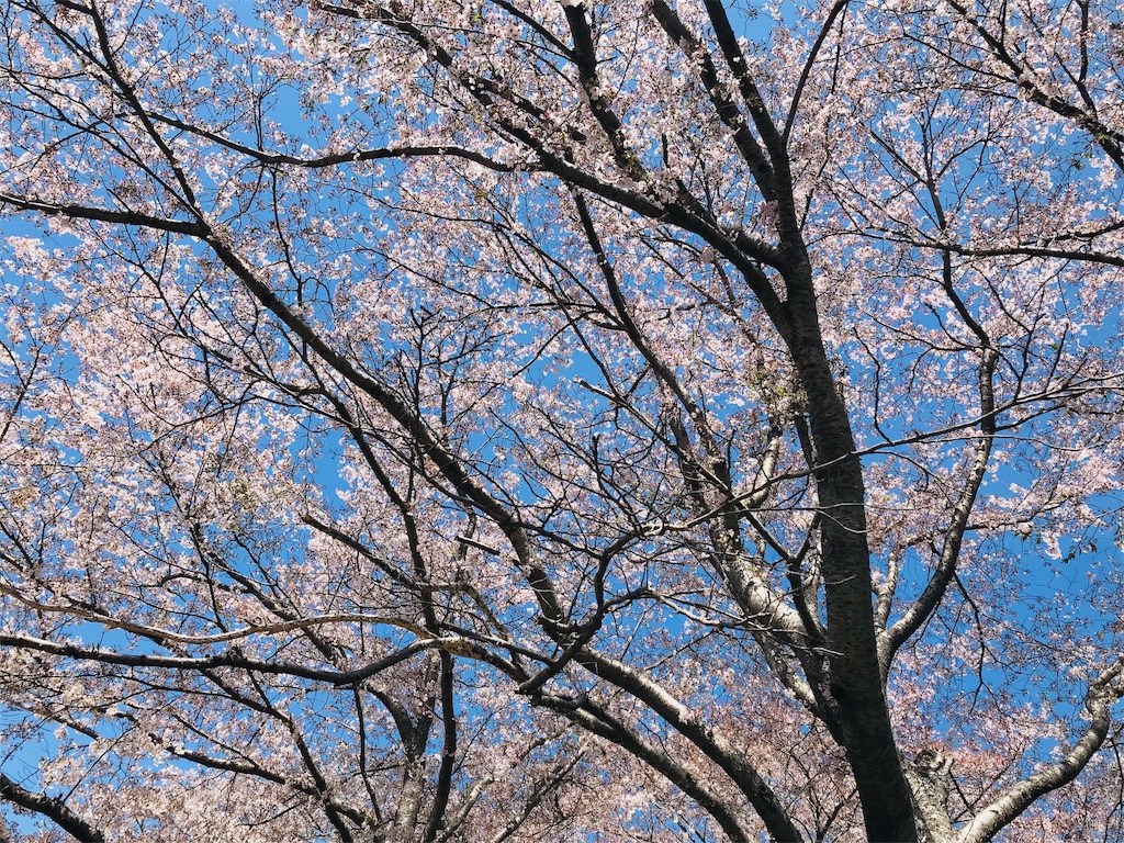 f:id:BMW-KEI:20190415104319j:image