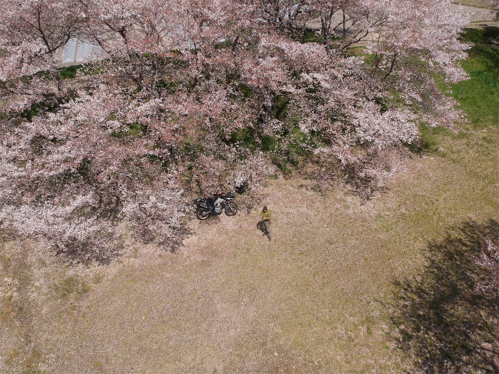 f:id:BMW-KEI:20190415104331j:image