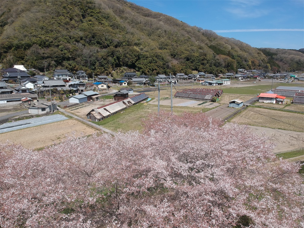 f:id:BMW-KEI:20190415104341j:image