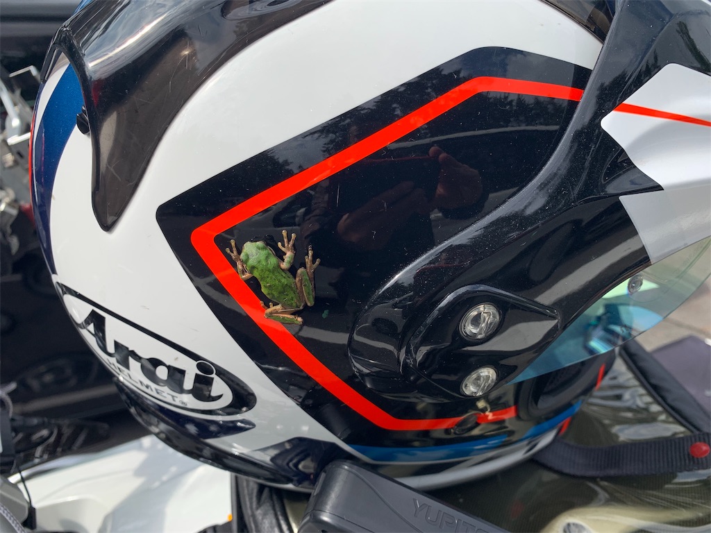 f:id:BMW-KEI:20190826203247j:image f:id:BMW-KEI:20190826203247j:image