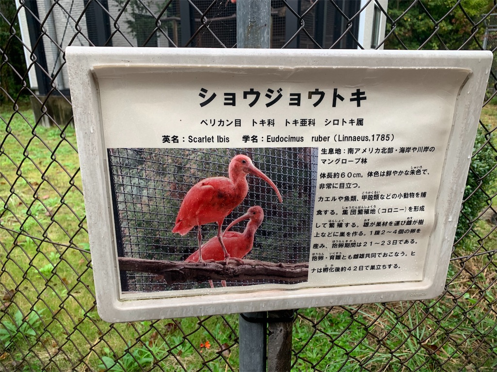 f:id:BMW-KEI:20191105054533j:image