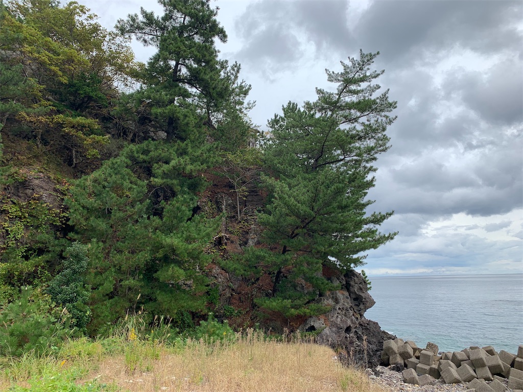 f:id:BMW-KEI:20191110091136j:image