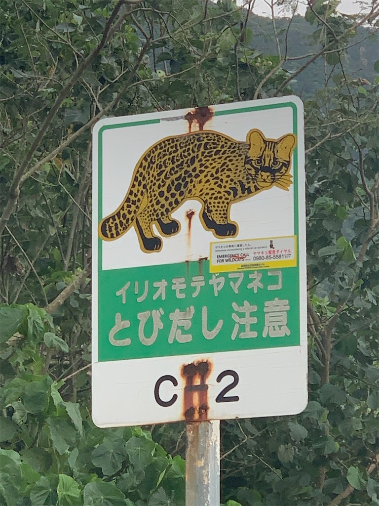f:id:BMW-KEI:20200214191424j:image