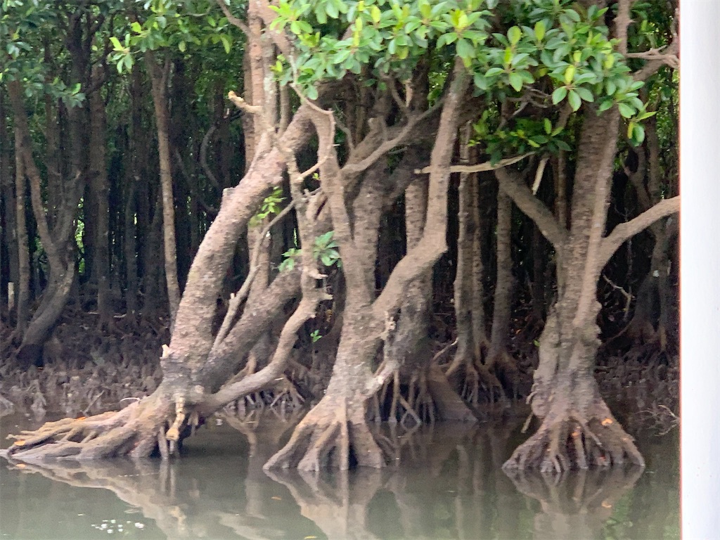 f:id:BMW-KEI:20200214192120j:image