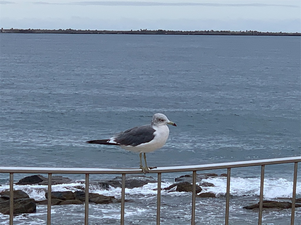 f:id:BMW-KEI:20200909181120j:image f:id:BMW-KEI:20200909181120j:image