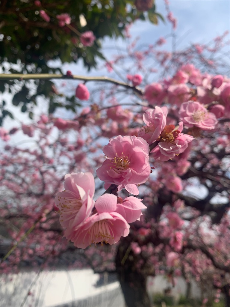 f:id:BMW-KEI:20210228170459j:image f:id:BMW-KEI:20210228170459j:image