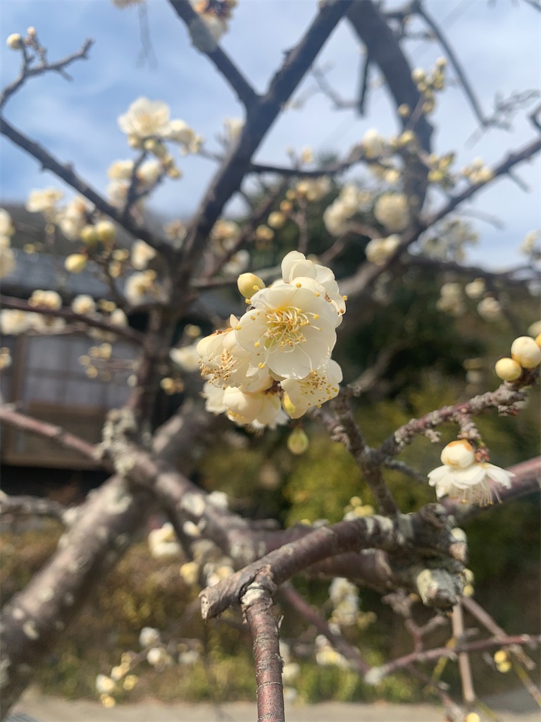 f:id:BMW-KEI:20210228170532j:image f:id:BMW-KEI:20210228170532j:image